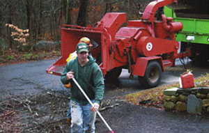 clean up tree work