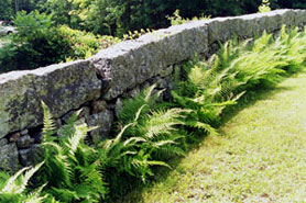 stone wall